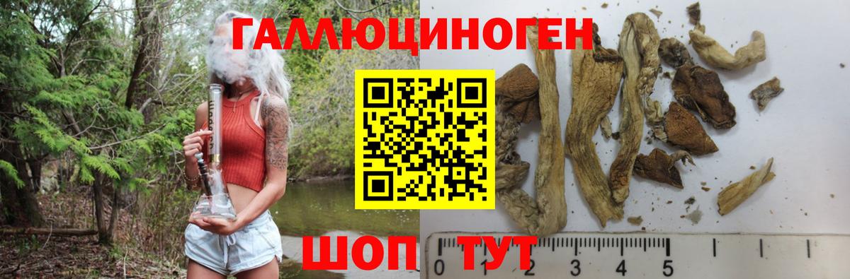Галлюциногенные грибы мицелий  Вход с VPN  Тверь 