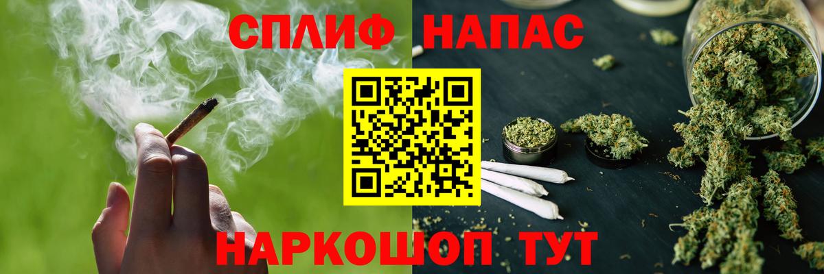 Шишки марихуана план  Бошки Шишки ГИДРОПОН  Тверь  Вход с VPN  МАРИХУАНА Ganja  Бошки Шишки конопля 